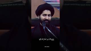 Bibi fatima zahra sa 💔imamali imamhussain imammehdi youtubeshorts short [upl. by Isaak]