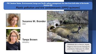 Seminar 20 Plastic Pollution and Tire Contaminants 6PPDQuinone [upl. by Salta277]