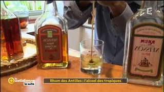 Rhum des Antilles  lalcool des tropiques  La Quotidienne la suite [upl. by Devaj]