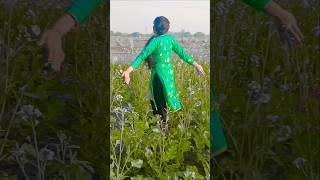 Tasveer song bhojpuri youtubeshorts viraldance viralvideo [upl. by Nnylaf]