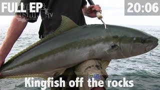 Yellowtail kingfish off the Rocks [upl. by Aeneus513]