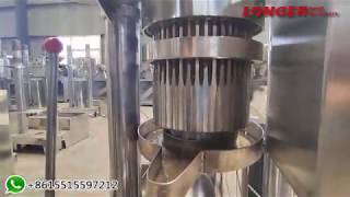 Commercial Macadamia Nut Oil Extraction Process Machine Price [upl. by Carhart]