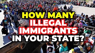 The Number of Illegal Immigrants in Every State in America [upl. by Gagnon]