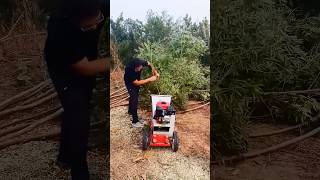 Amazing wood chipper [upl. by Nichol]