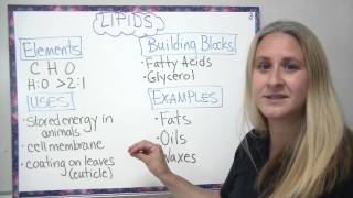 Organic compounds  4 main types described [upl. by Nevah]