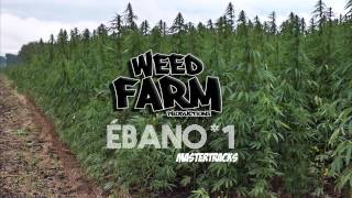 MASTER TRACK 1 ÉBANO Weed Farm Productions [upl. by Adnirual]