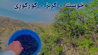 Afghanistan Khost Gurbaz  خوست ګربزو ښایسته سیمه او ګورګورې [upl. by Ahseit]