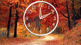 Time Change Sunday November 3 2024 Its time to Fall Back [upl. by Leesen393]