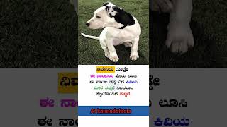 Kannada facts 🧠 kannada factsinkannada kannadafacts karnataka shorts [upl. by Mensch]