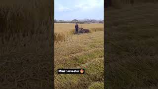 Mini harvester viral short video farming love🌾 [upl. by Enelam]