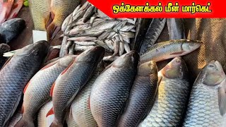 ஒகேனக்கல் மீன் குழம்பு  hogenakkal fish market  hogenakkal fish kulambu  Reporter vinoth 🤯 [upl. by Adolfo740]