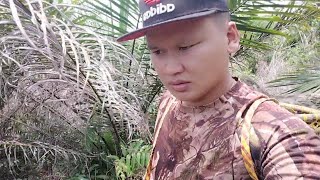 Bubu dapat ikan emplekung dan keliijap bubu rosak dimasuki ular sawa dan diganggu biawak [upl. by Hester]