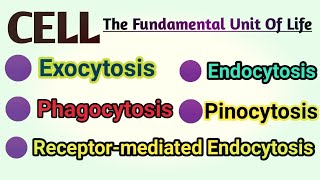 Exocytosis  Endocytosis  Phagocytosis  Pinocytosis  Receptor Mediated Endocytosis REM [upl. by Nibbor70]