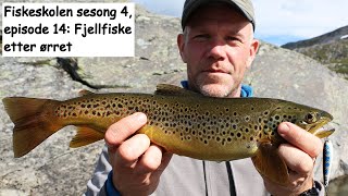 Fiskeskolen sesong 4  episode 14 Fjellfiske etter ørret [upl. by Linehan690]