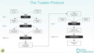 iPlant Tuxedo Protocol RNASeq 1 of 2 [upl. by Linetta62]