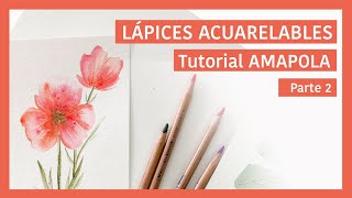 Como usar los lápices acuarelables Parte 2 [upl. by Acirdna]