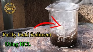 Purify Gold Sediment Using Hydrochloric Acid HCL Easy Method [upl. by Niamrahc]