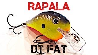 Lure Review Rapala DT Fat [upl. by Daloris]