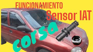 funcionamiento de sensor IAT de 2 pines automobile corsa electromechanical videoviral videviral [upl. by Wattenberg]