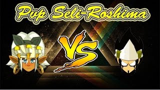 DOFUS Seliroshima Roublard 200 VS Iop 200 [upl. by Htirehc]