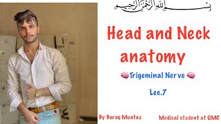 Lec7  part 2 HampN anatomy ophthalmic division of trigeminal nerve [upl. by Emanuel]