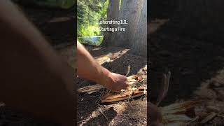 Starting a fire with a ferro rod ferrorod bushcrafting goodskills [upl. by Ethben]