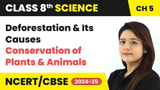 Deforestation and Its Causes  Conservation of Plants and Animals  Class 8 Science Ch 5  CBSE 2024 [upl. by Toy]