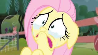 MLP Fluttershy Crying [upl. by Yadahs319]