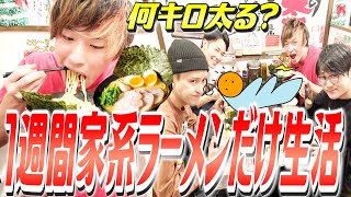 【検証】1週間毎日家系ラーメンだけを食べ続けたら何キロ太るのか？【縛り生活】 [upl. by Enidan]