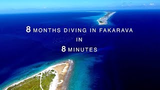 8 Months Diving In Fakarava in 8 Minutes French Polynesia [upl. by Duyne]