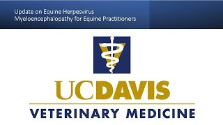 Update on Equine Herpesvirus Myeloencephalopathy for Equine Practitioners [upl. by Aneeres]