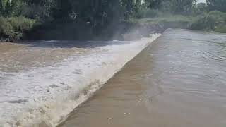 Arkansas River Approaching Flood Stage  North La Junta Headgates on June 22 2023  NWS Flood Watch [upl. by Ilrebmyk912]