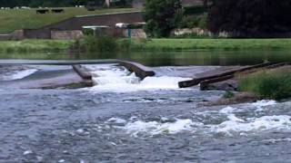 Junction Pool River Tweed [upl. by Eamanna]