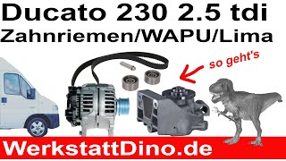 Ducato 230 Zahnriemen wechseln Wasserpumpe wechseln Lichtmaschine wechseln Das volle Programm [upl. by Ytissac]