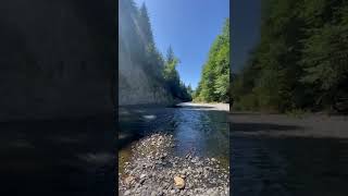 Satsop River summer 2022 on the ranch [upl. by Nayek]