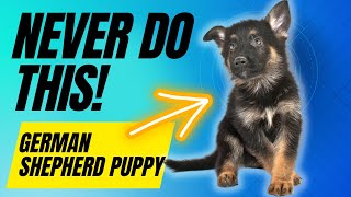 6 Things You Must Never Do With Your German Shepherd Puppy [upl. by Alegna195]