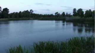 Casey Fields Trout Pond [upl. by Thorfinn]