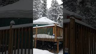 Yurt Camping in Golden Gate Canyon State Park [upl. by Asaeret830]