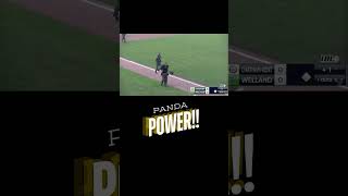 Panda Power baseball sports [upl. by Hassett]