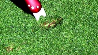 How to Properly Repair a Golf Ball Mark or Divot on the green [upl. by Wilson]