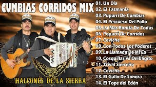 Los Halcones De La Sierra Exitos Cumbias Corridos Para Bailar Mix [upl. by Eveneg]