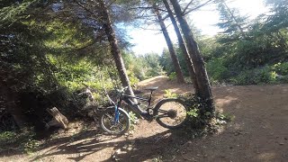 Seabrook WA MTB trails on a Luna X2 EMTB [upl. by Godewyn]