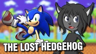 RESET SYSTEM 9  The Lost Hedgehog [upl. by Ahsiena742]