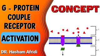 GProtein Couple Receptor Activation [upl. by Austina]