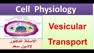 Vesicular Transport  Lashin دلاشين [upl. by Shaeffer]