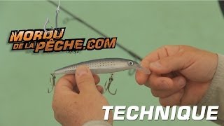 Animation du leurre Jerk Bait poissonnageur [upl. by Pritchard]