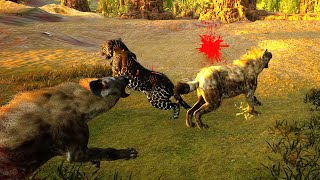 The Life of a Hyena  Animalia Survival [upl. by Htebi]