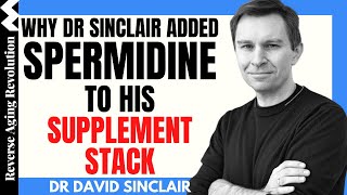 WHY Dr David Sinclair Added SPERMIDINE To His Supplement Stack  Dr David Sinclair Interview Clips [upl. by Nebra]