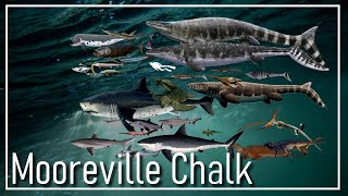 🇺🇲 The Mooreville Chalk Ocean [upl. by Dustie]