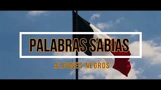 Palabras Sabias  Alcones Negros [upl. by Bogie814]